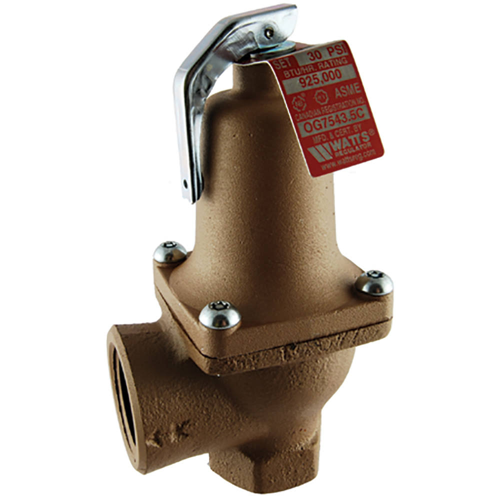 Cash Acme, 194990030, F95 Iron Body Relief Valve with Lever Set