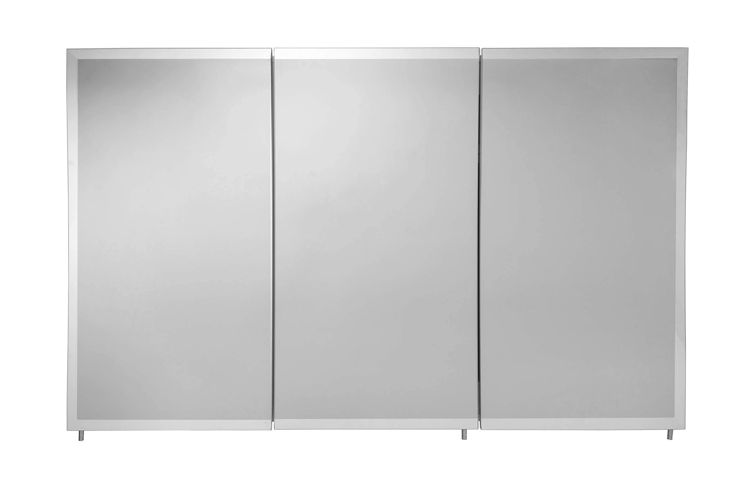 Croydex 48 in. W x 30 in. H x 51/4 in. D Frameless TriView Surface