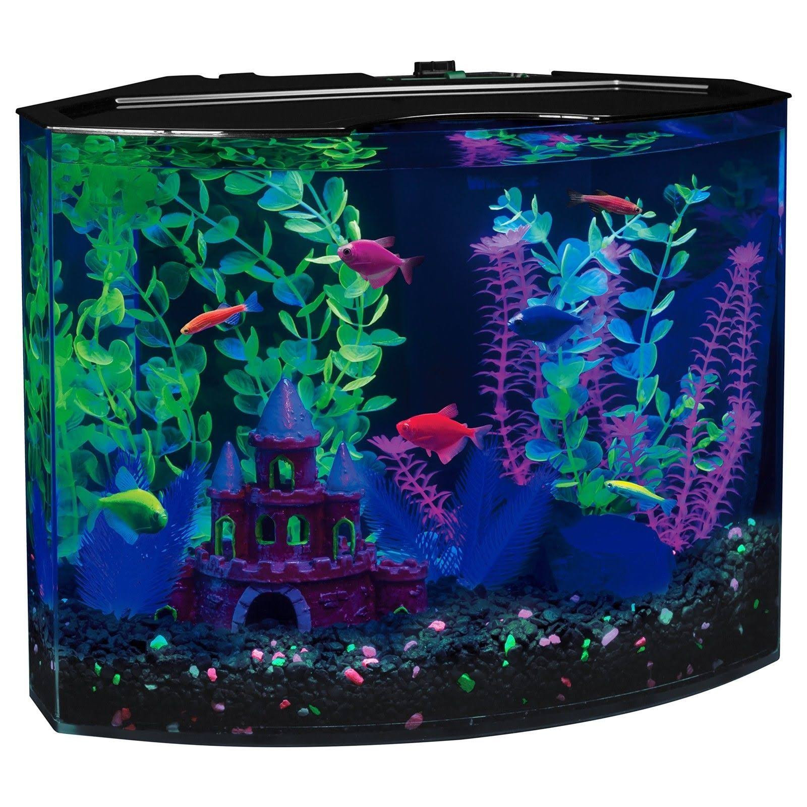 GloFish 29045 Aquarium Kit with Blue LED Light 5Gallon Ahmadkrieg