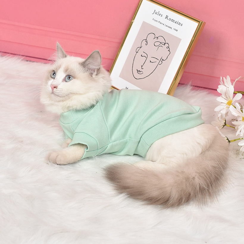 New Pet Clothes Dog Clothes Teddy Bichon Autumn And Winter Clothes Twolegged Clothes Cat Clothes Spot