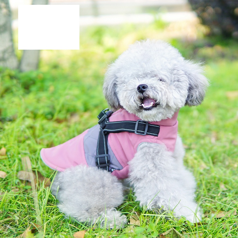 Dog Clothes Dog Chest Back Vest Plus Velvet Thickened Reflective Traction Chest Back One Autumn And Winter Teddy Clothing