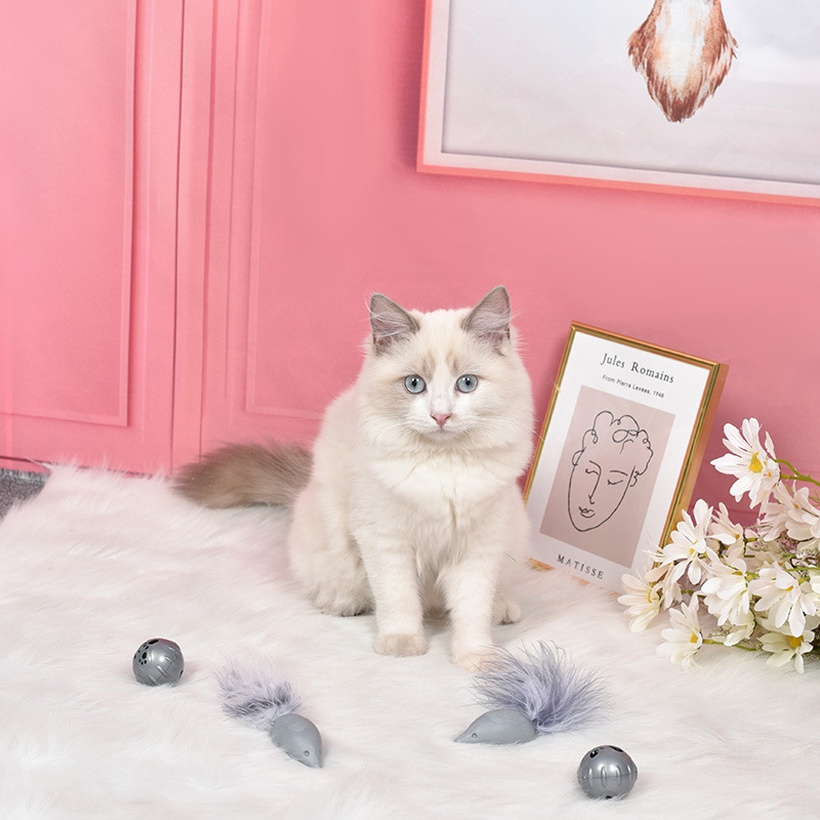 New Cat Toy High Imitation Mouse Ball Bell Feather Funny Cat Toy