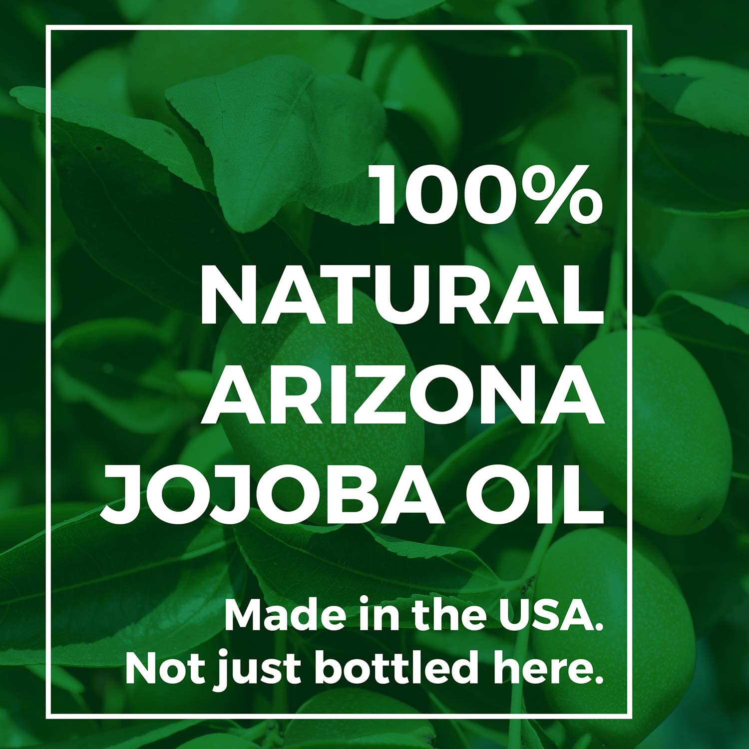 Golden Jojoba Oil by Leven Rose Pure Bulk 32 oz The Tea Scape