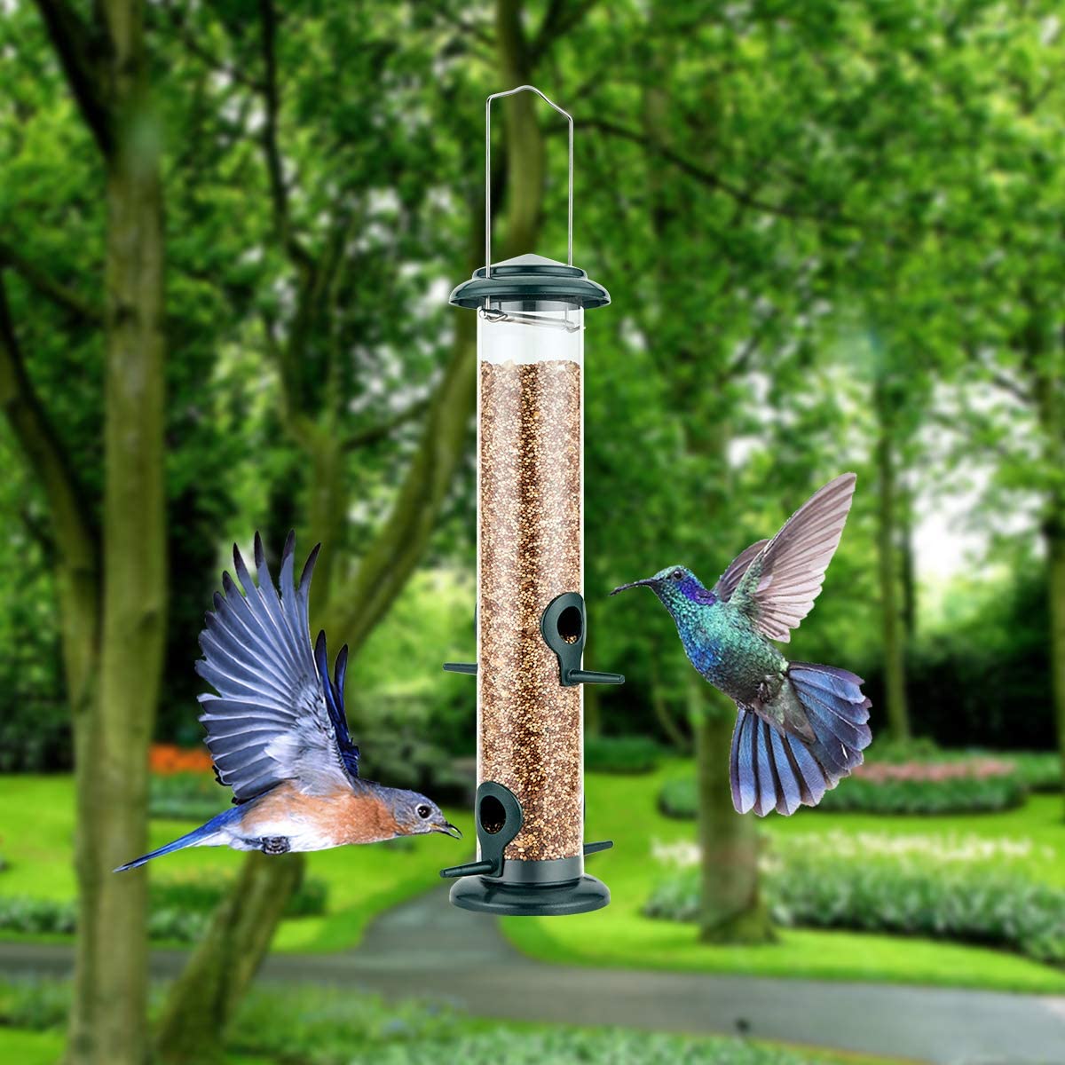 iBorn Bird Feeder for Small Birds Hanging Wild Bird Seed Feeder for Mix
