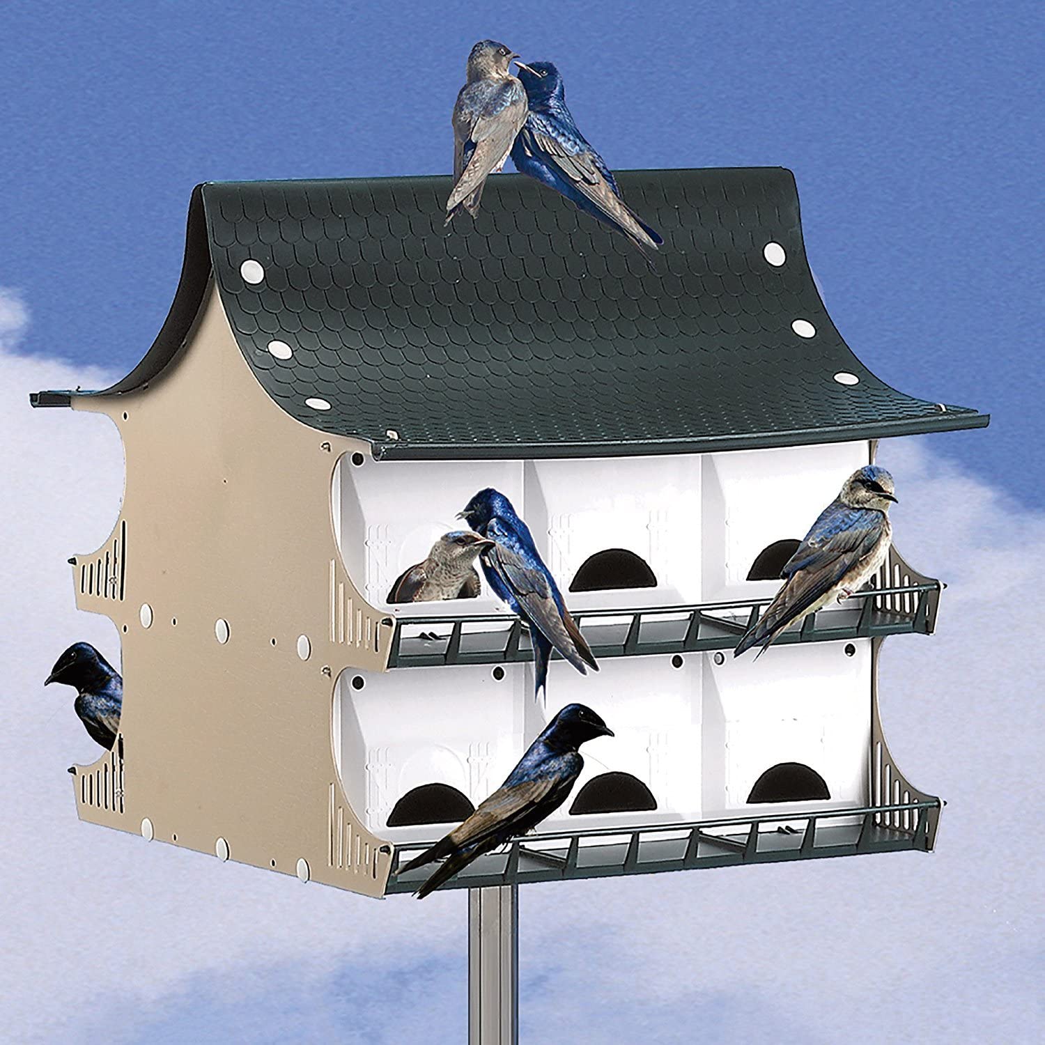 s-and-k-purple-martin-house-12-room-the-tea-scape