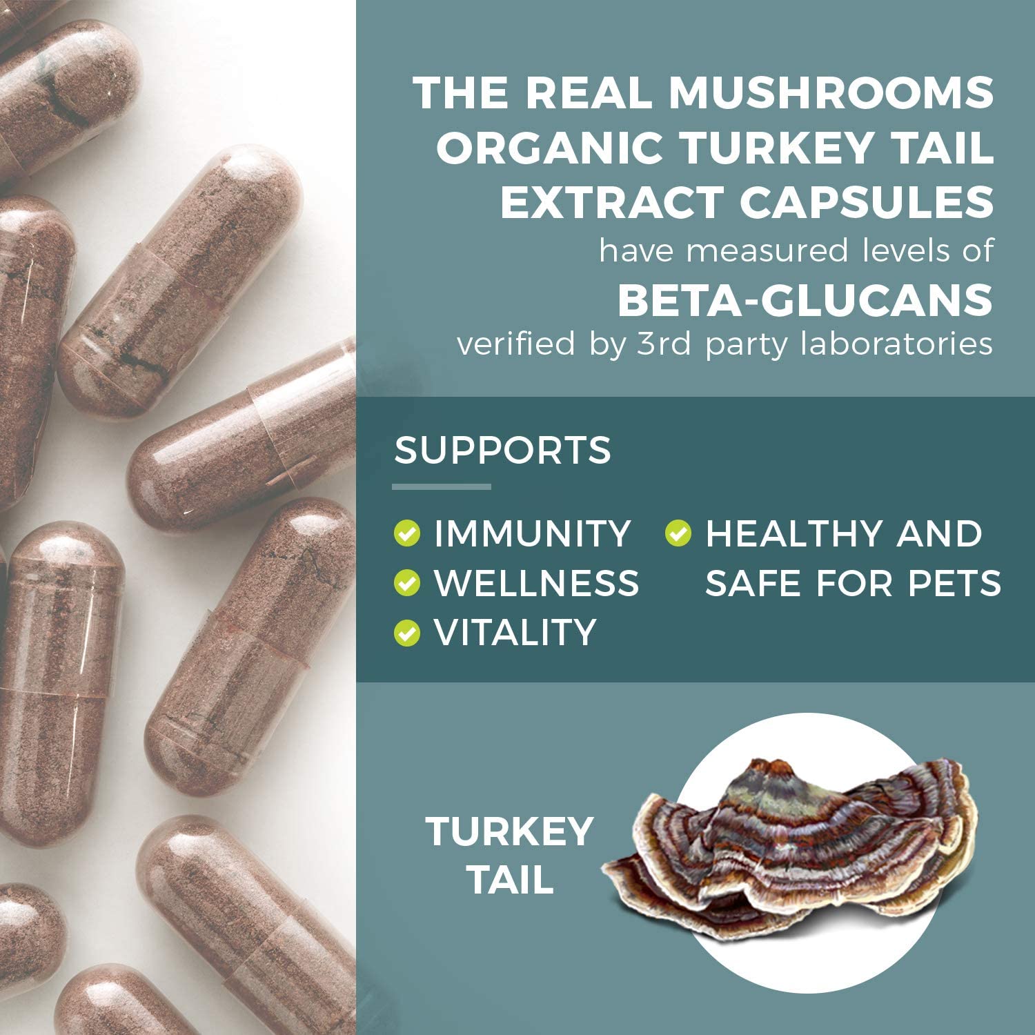 Real Mushrooms Turkey Tail Mushroom Supplements for Immune Support