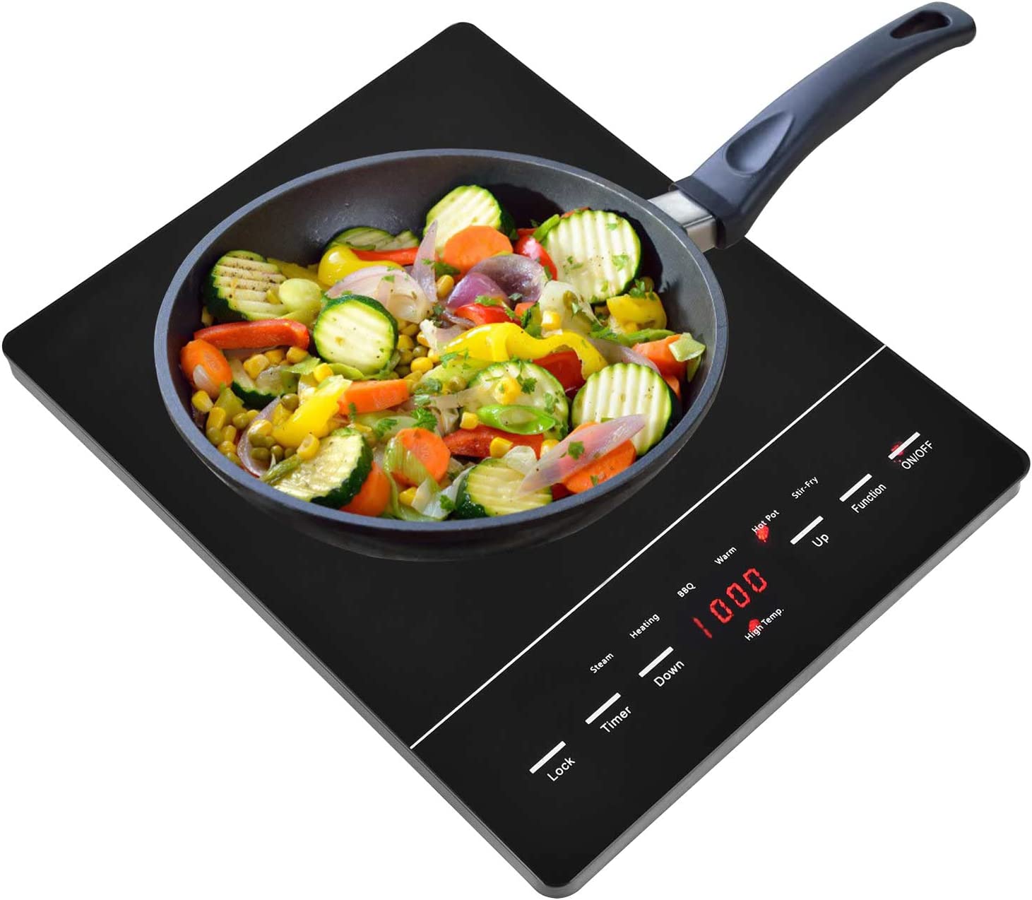 110v cooktop