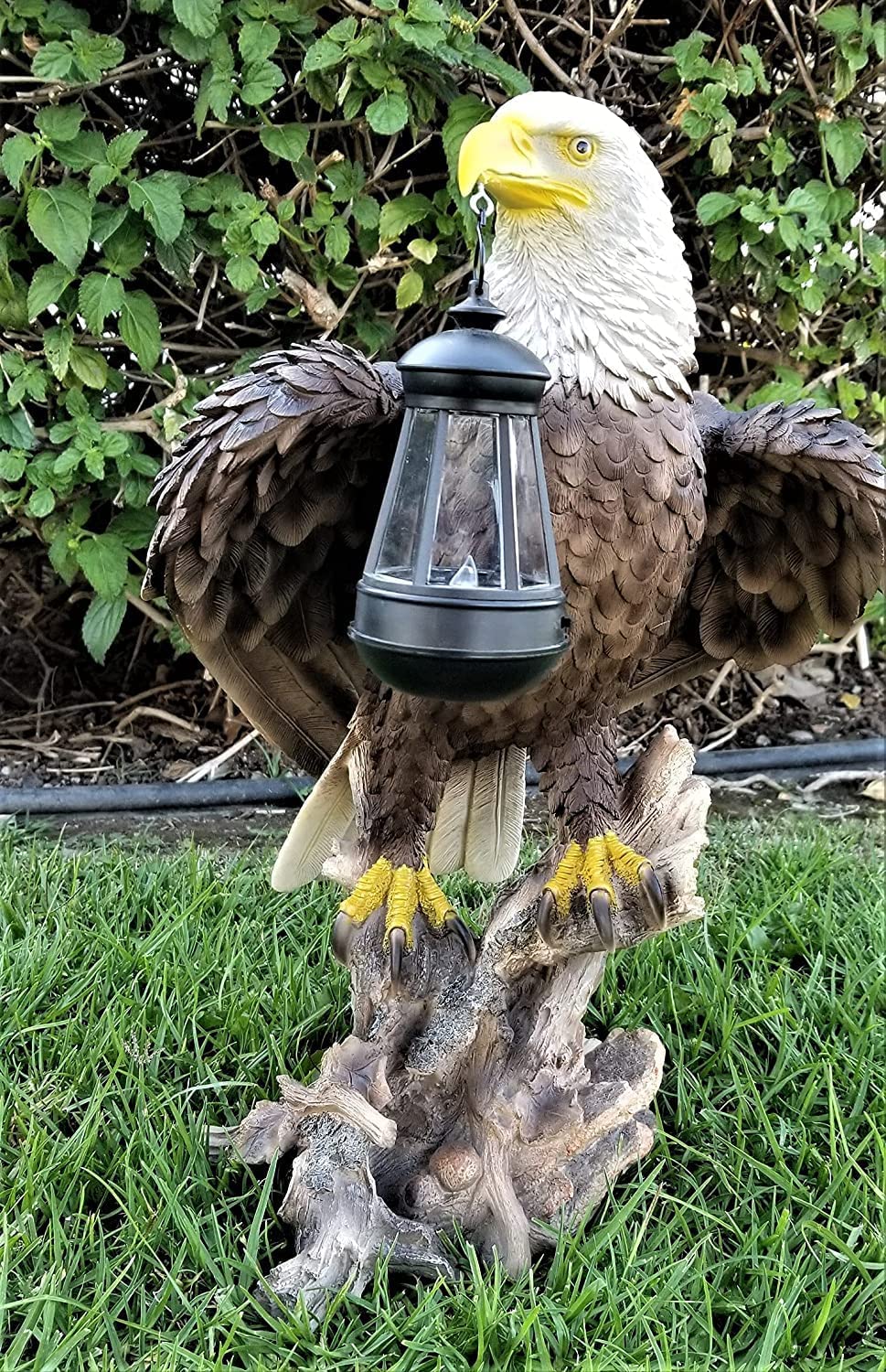 Solar American Bald Eagle Statue with Solar Light-EA - The Tea Scape