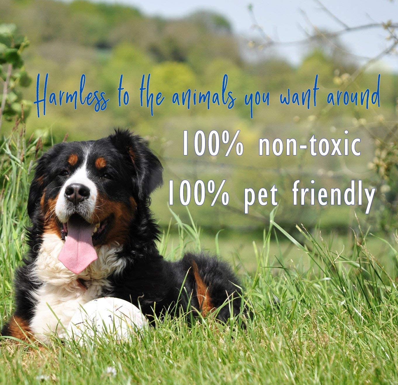 Predator Pee 100 Mountain Lion Urine Territorial Marking Scent