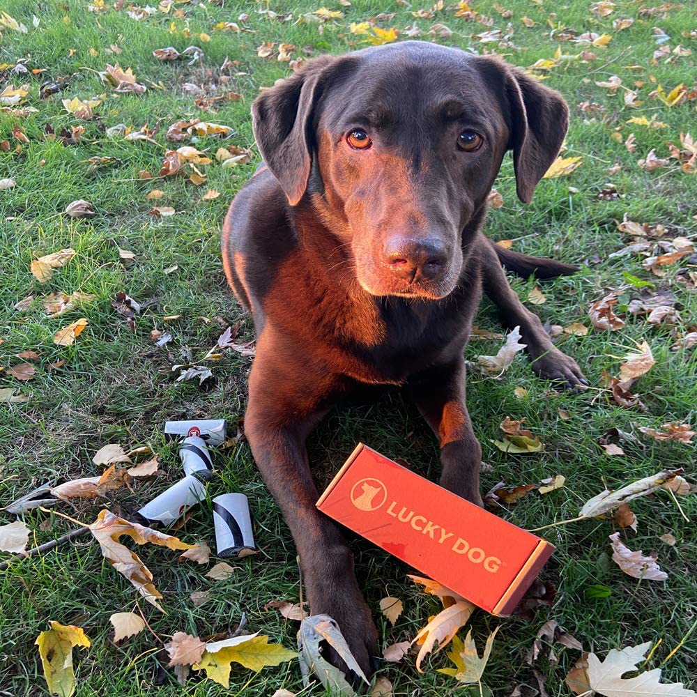 Lucky Dog Ultimate Poop Bags ASTM D6400 Compliant The Tea Scape