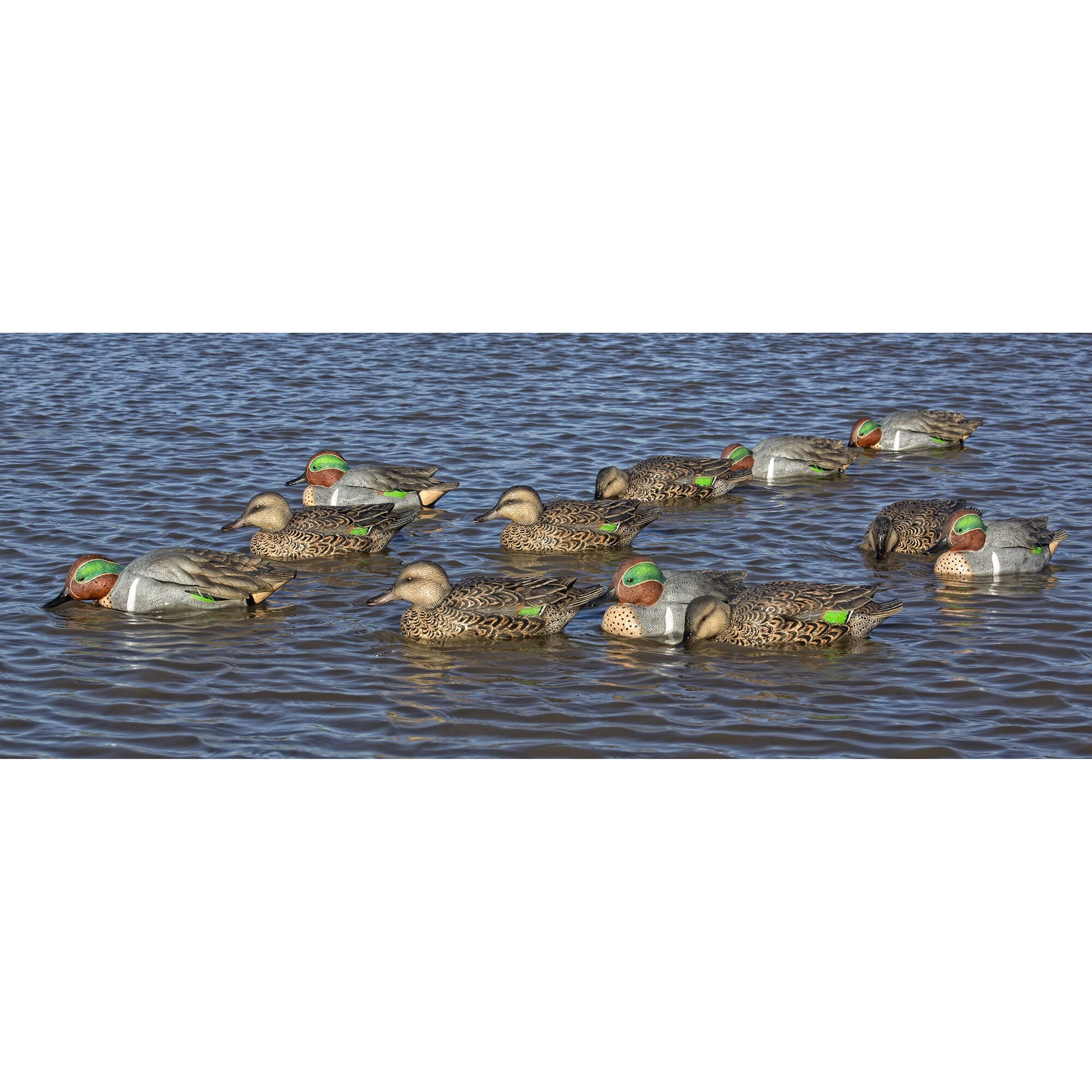 AvianX Topflight GreenWinged Teal Series Decoys, 6Pack
