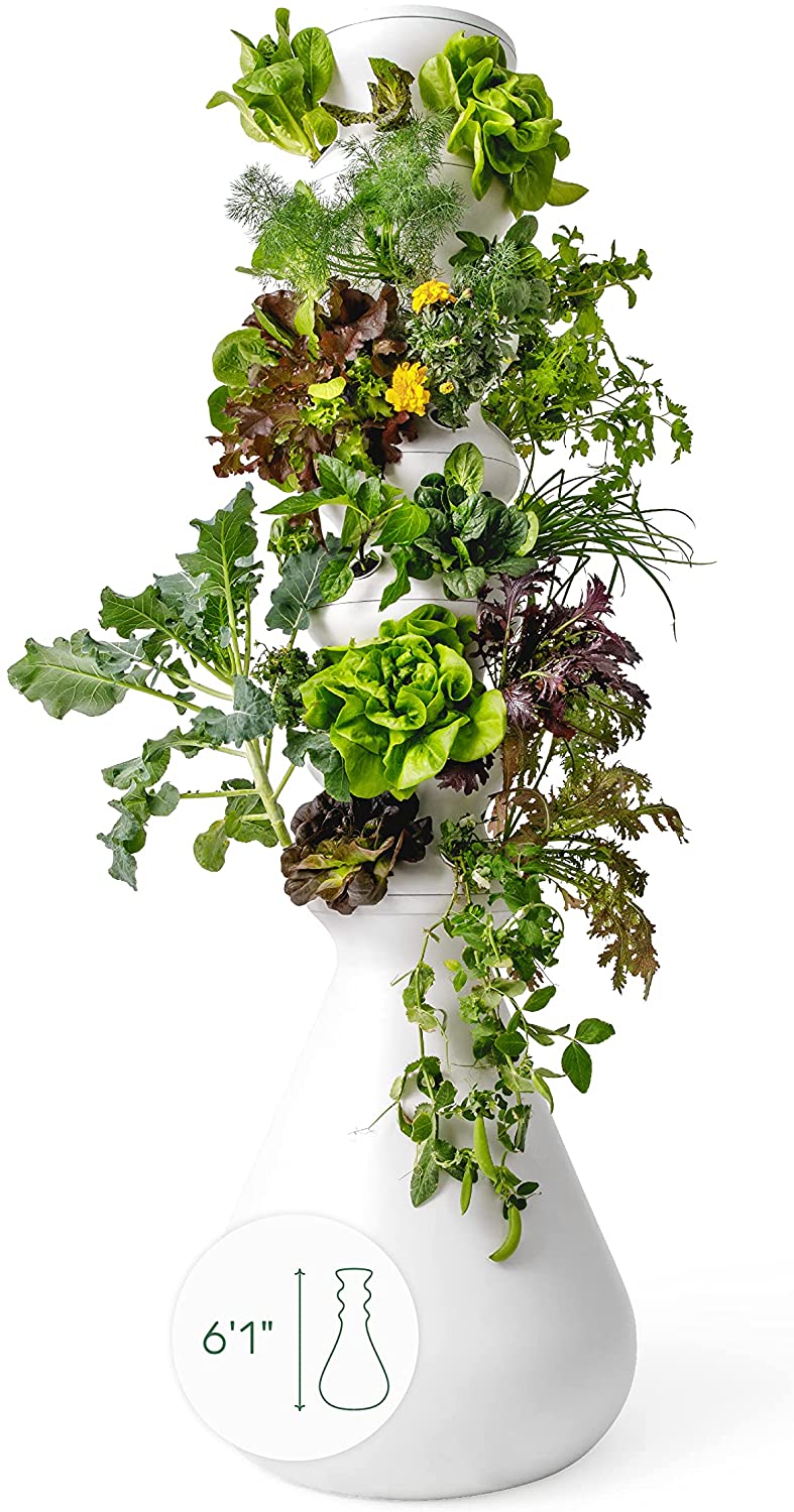 Lettuce Grow Farmstand 36Plant Hydroponic Growing System Kit Outdoor