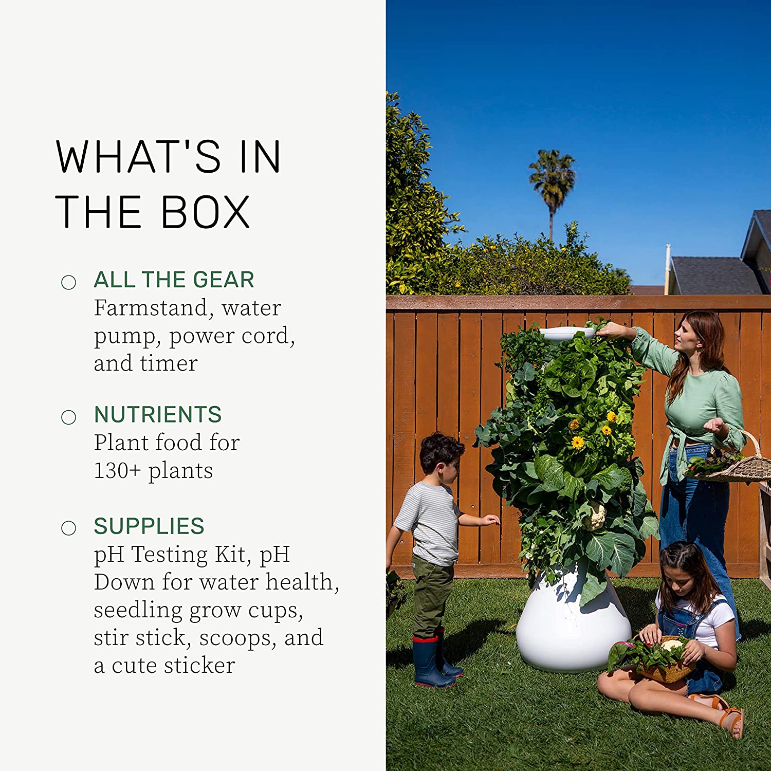 Lettuce Grow Farmstand 36Plant Hydroponic Growing System Kit Outdoor