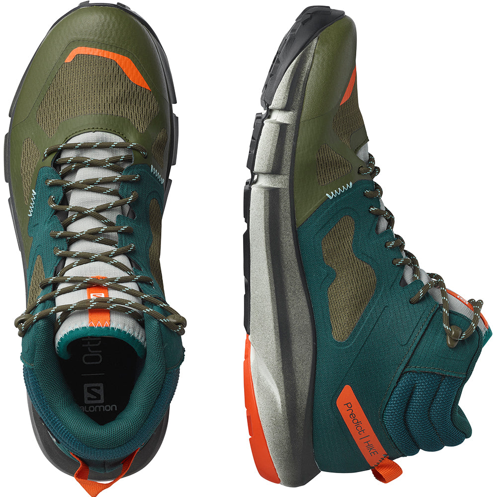 predict hike