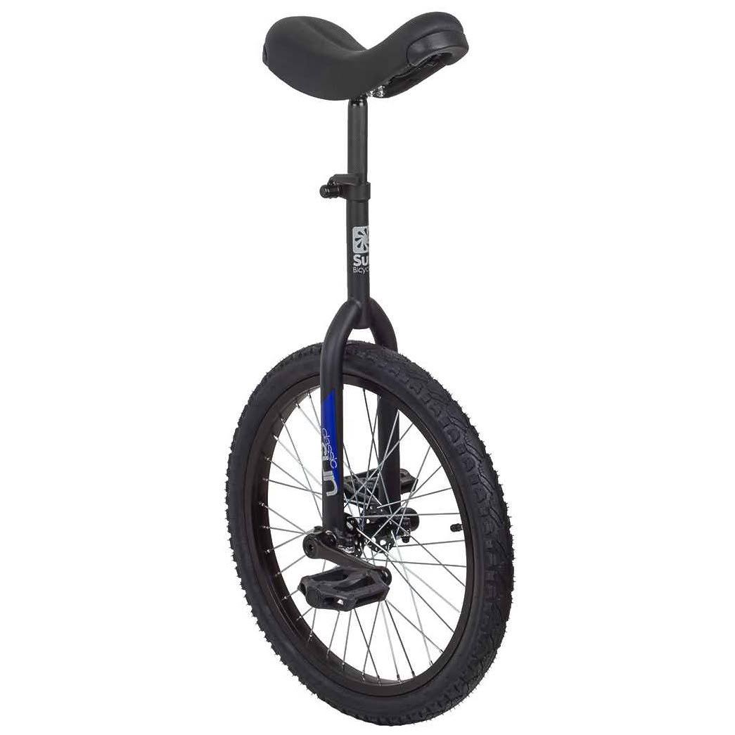 Sun 20 inch Classic Black Unicycle chargefr