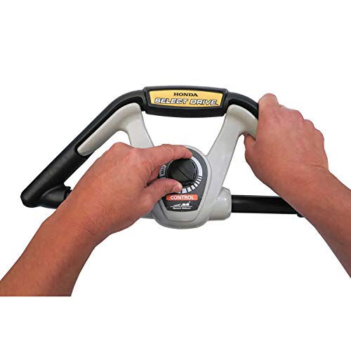 Honda HRX217K5VKA 187cc Gas 21 in. 4in1 Versamow System Lawn Mower