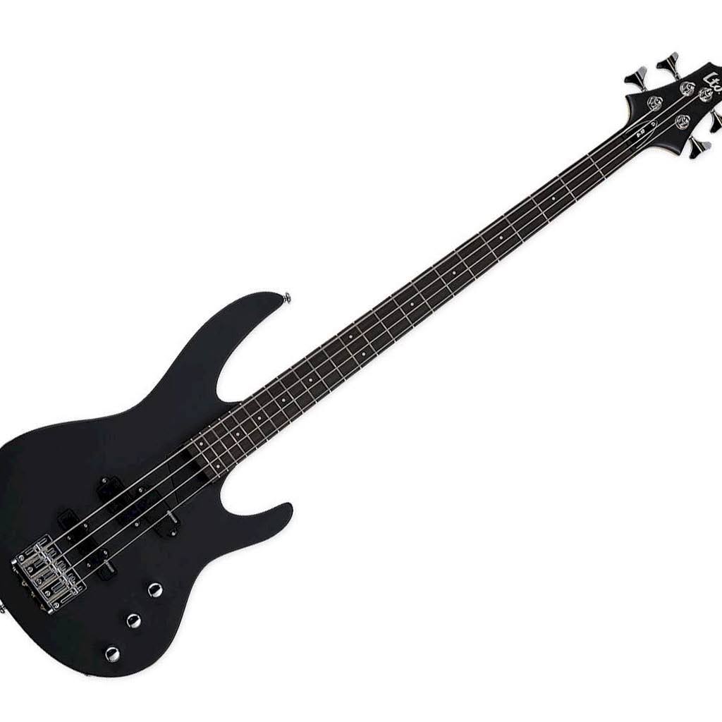 ESP LTD B-10 Black Satin - My Leather Swear