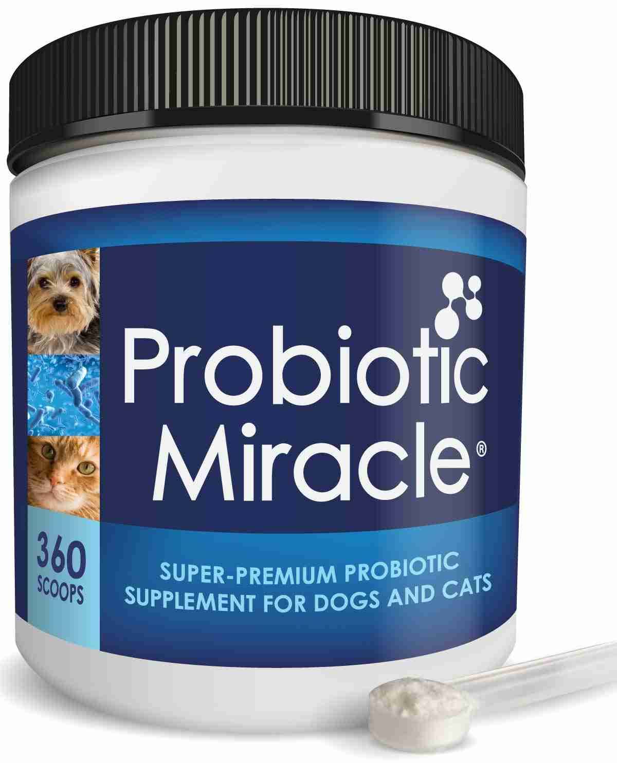 Nusentia Probiotic Miracle Dog Probiotics, 360 Servings My Leather Swear