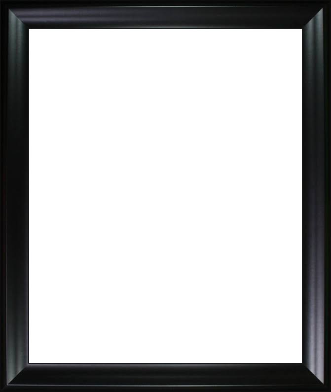 Black Matte Frame 20"x24" Museum Frame Zoomfigy