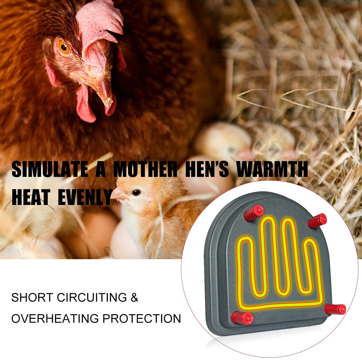 Duckling Brooder Heater Coop Brooder Heater Like a Hen Lightsoom