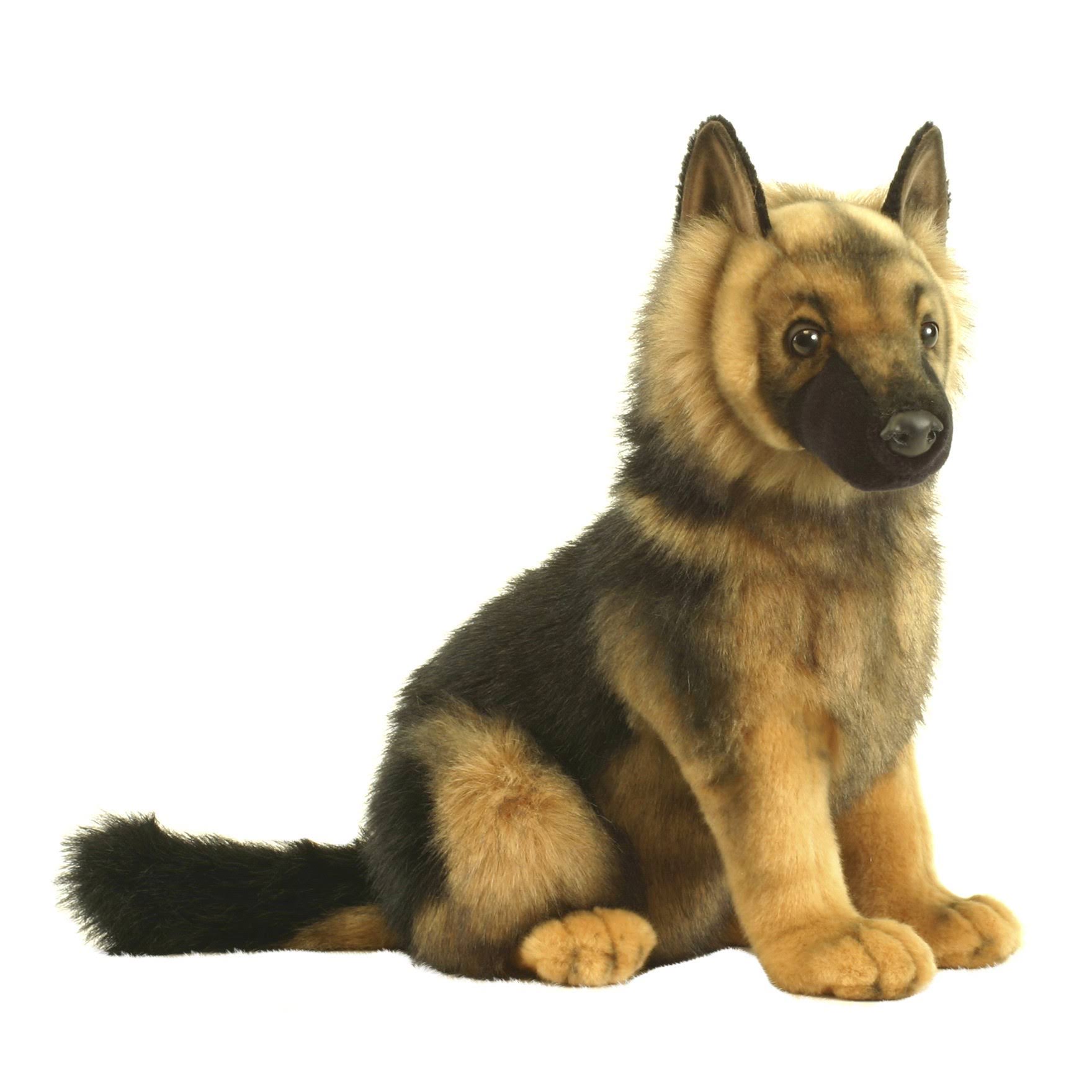 hansa german shepherd