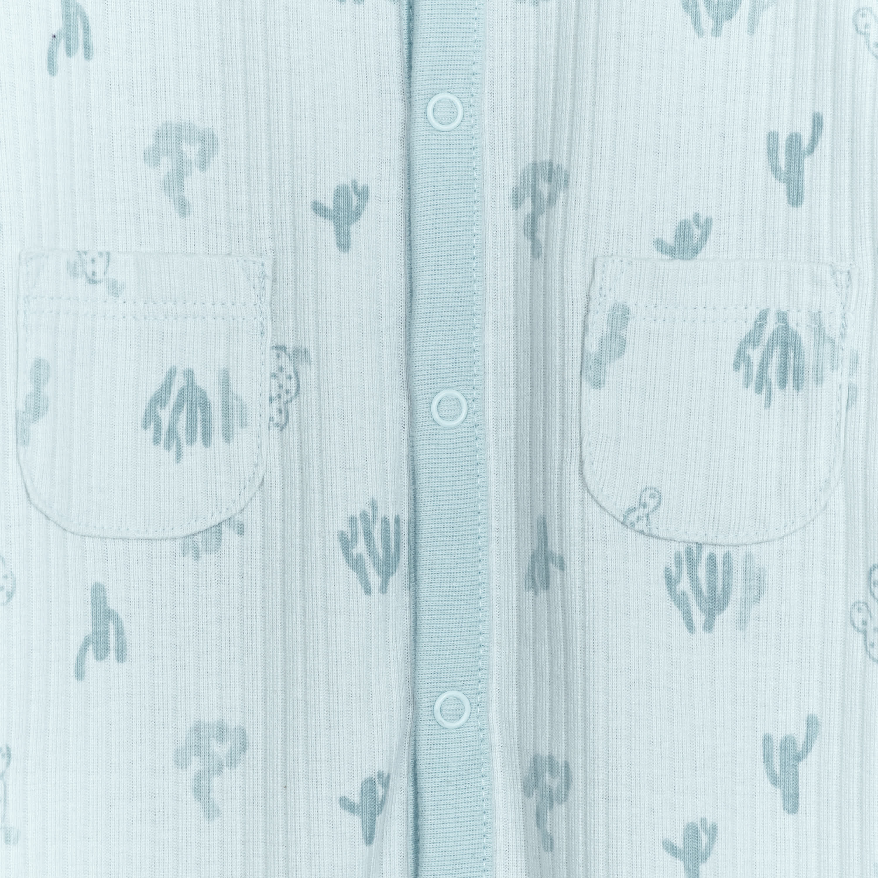 Baby Boys Desert Cactus Sleep 'N Play