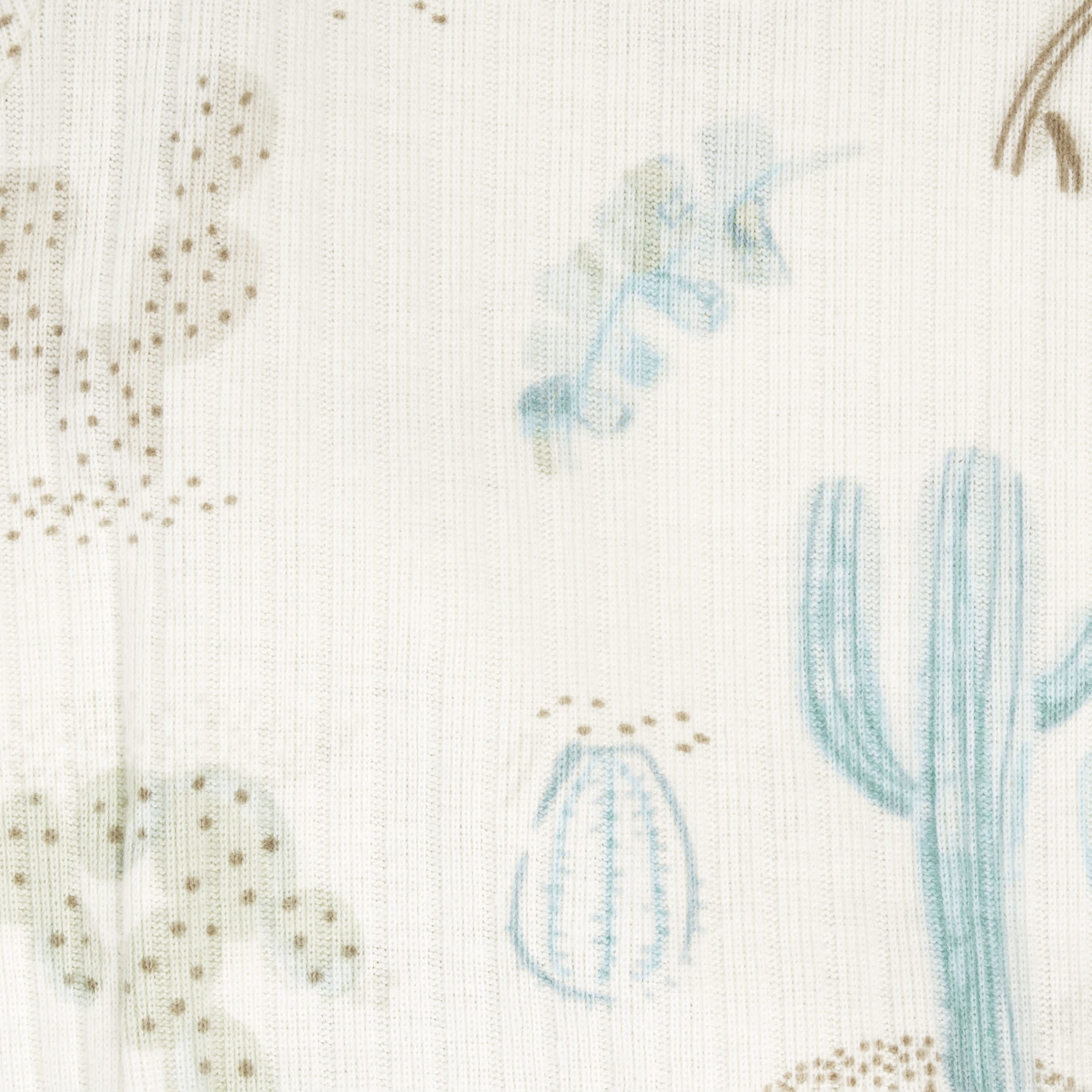 2-Piece Baby Boys Desert Cactus Take Me Home Set