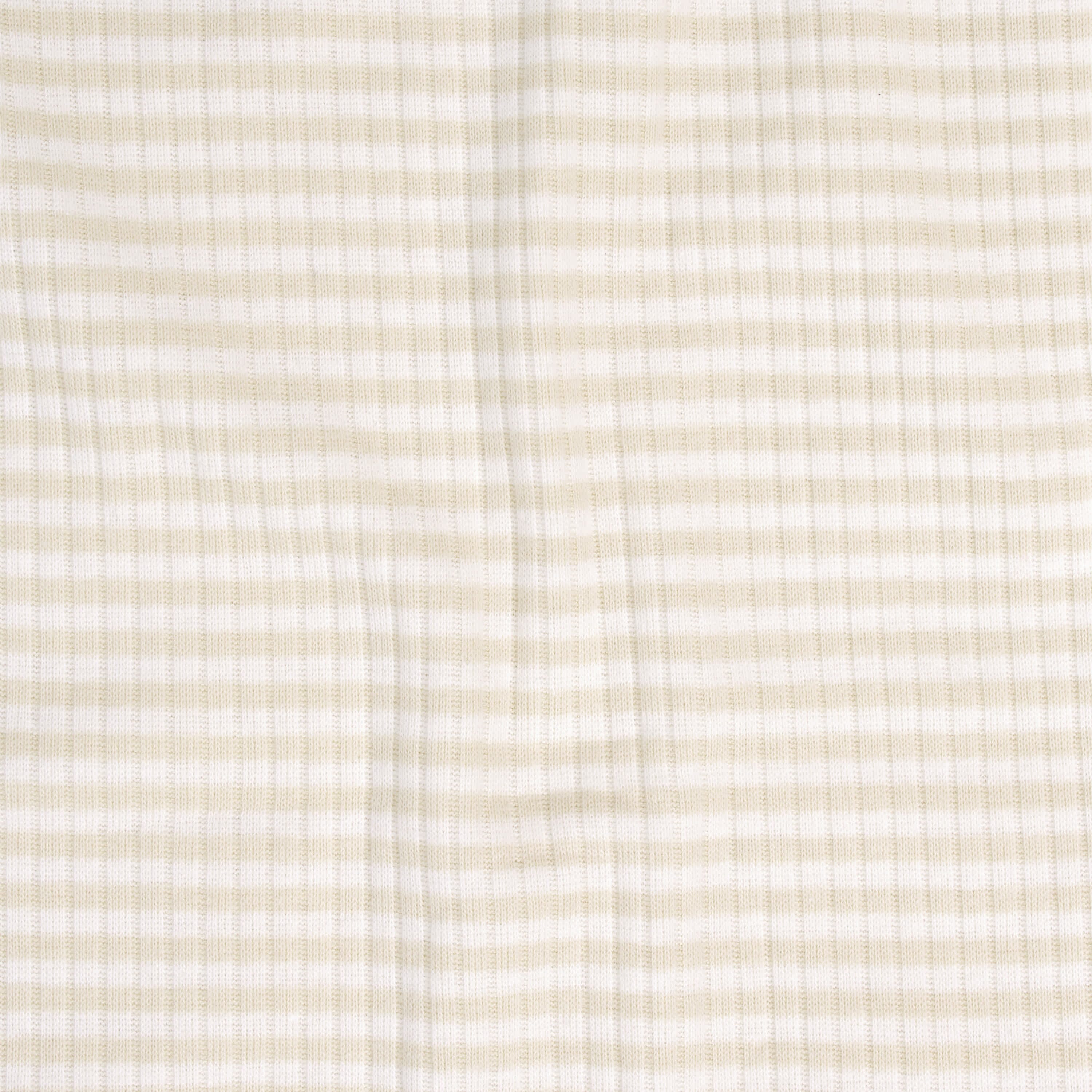 2-Pack Baby Boys Desert Cactus Pants