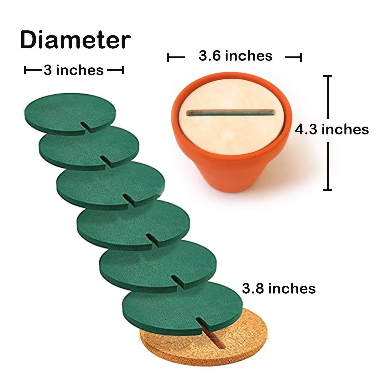 Green Coasters DIY Cactus Coaster