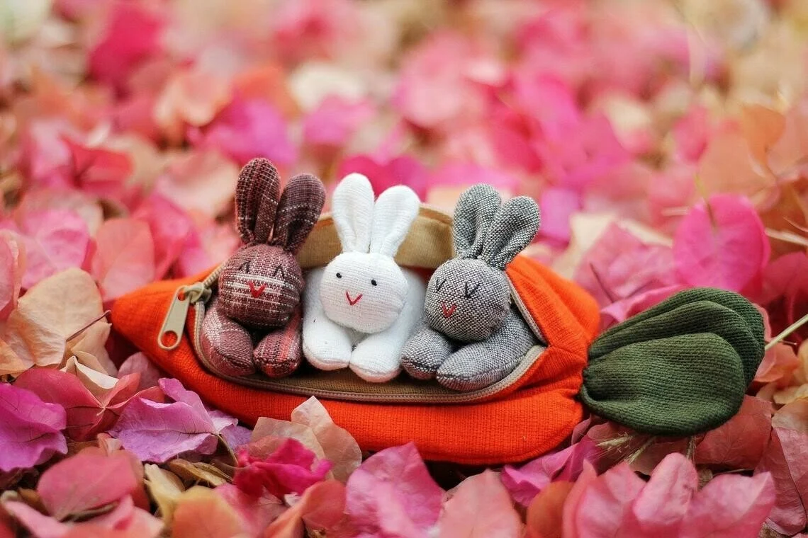 3 bunnies in carrot purse