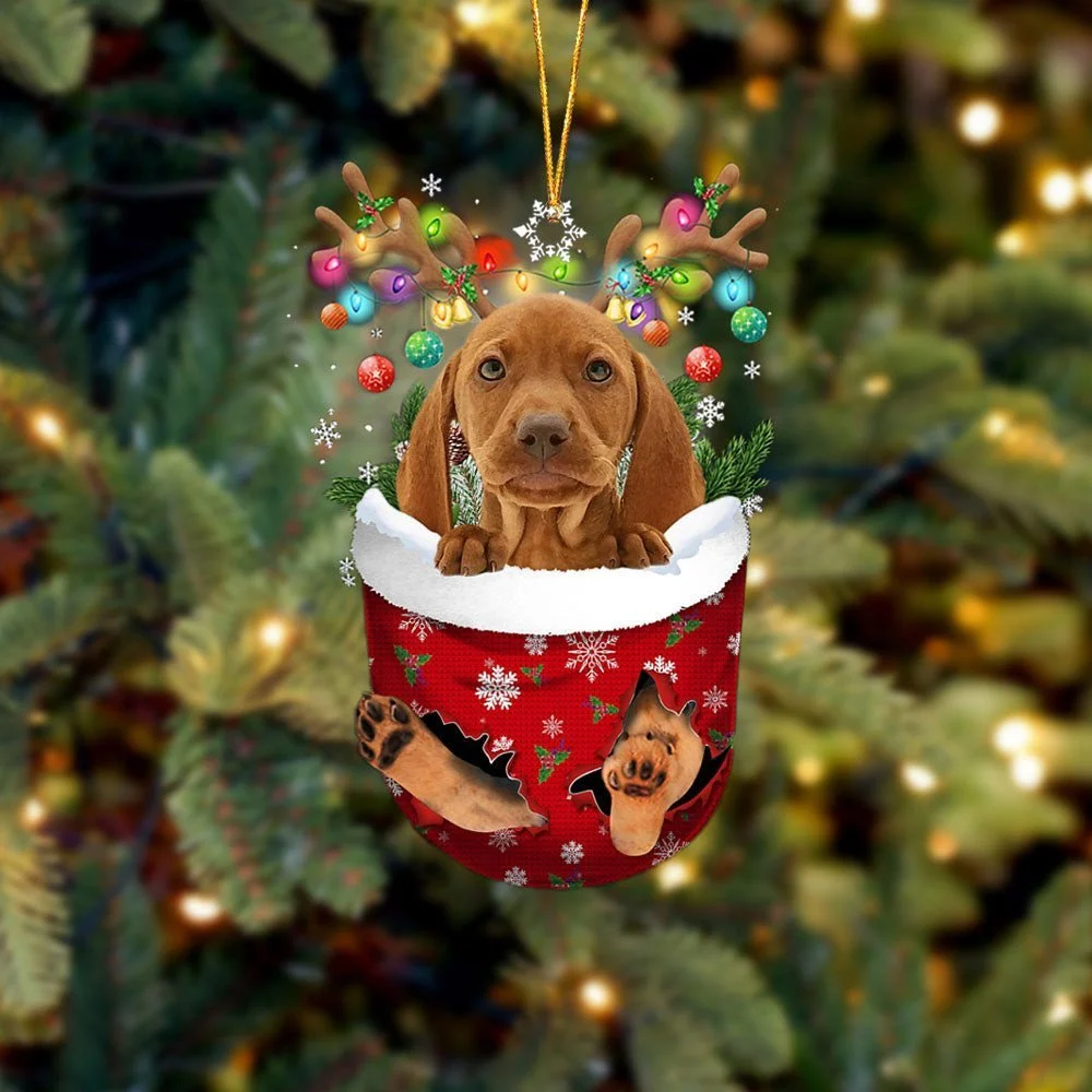 Vizsla In Snow Pocket Ornament