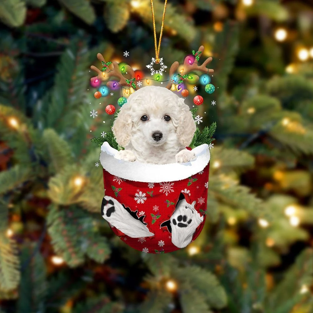 WHITE Toy Poodle In Snow Pocket Ornament