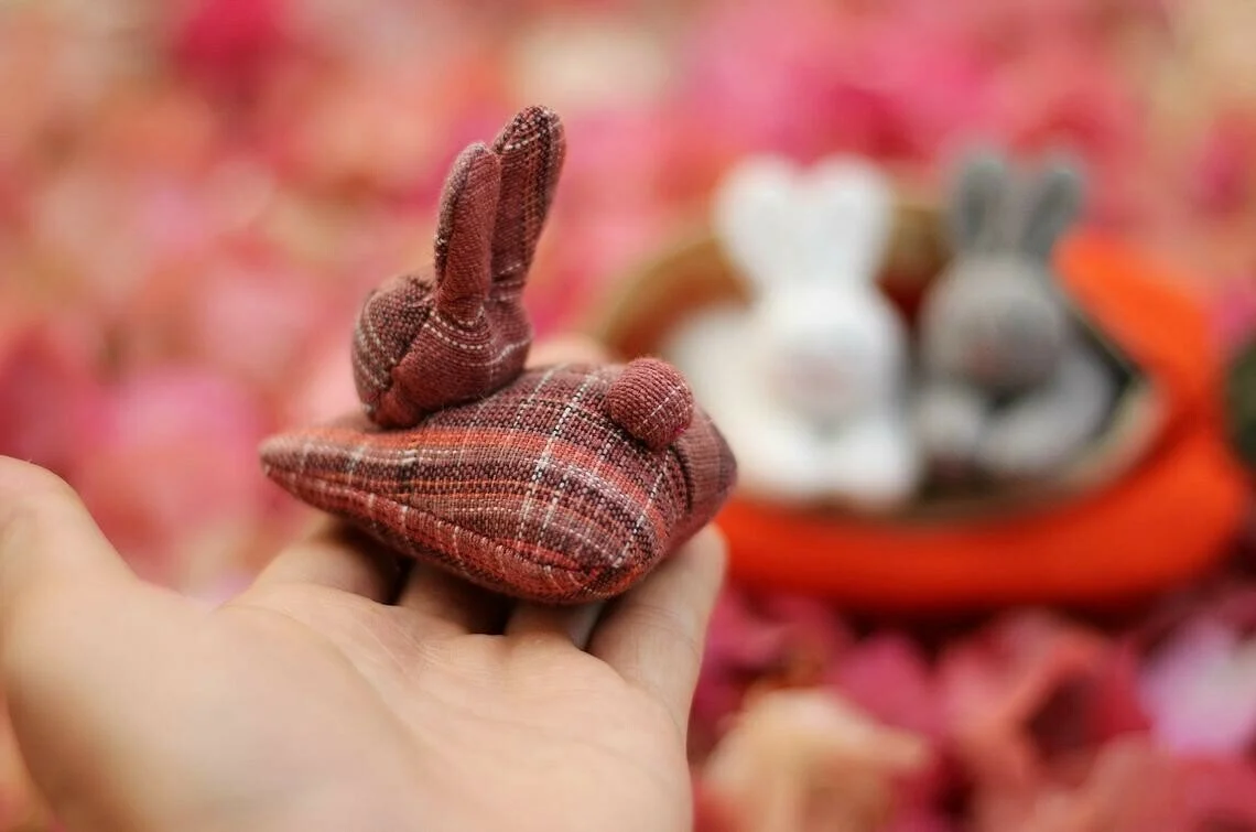 3 bunnies in carrot purse