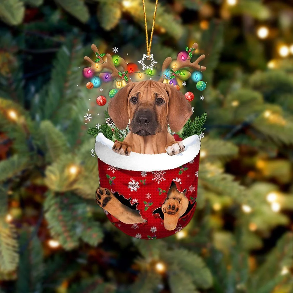 Rhodesian Ridgeback In Snow Pocket Ornament