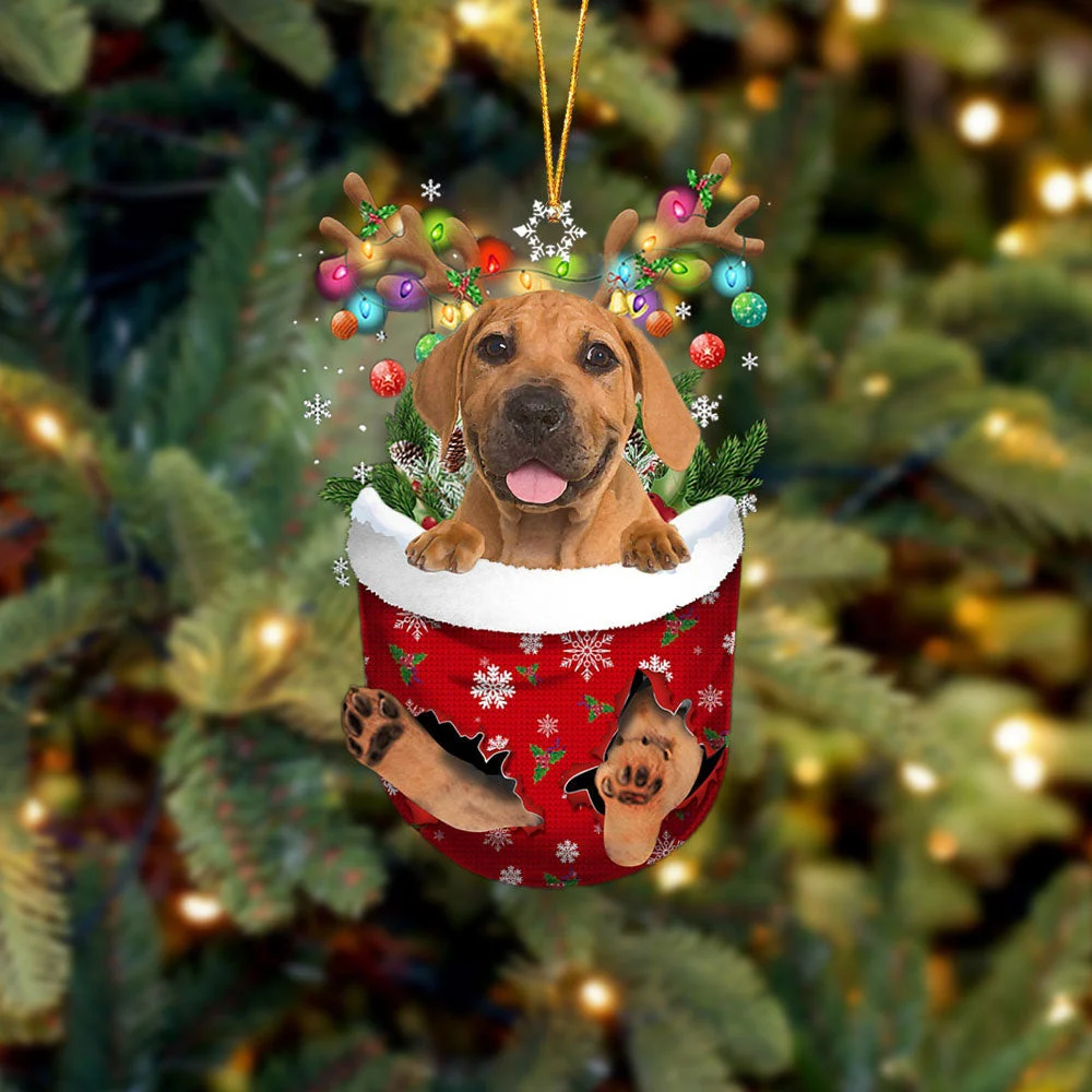 Boerboel In Snow Pocket Ornament