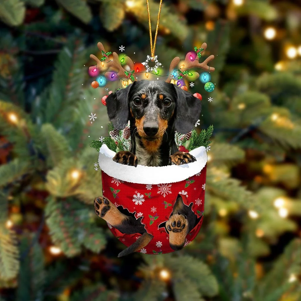 Dapple Dachshund In Snow Pocket Ornament