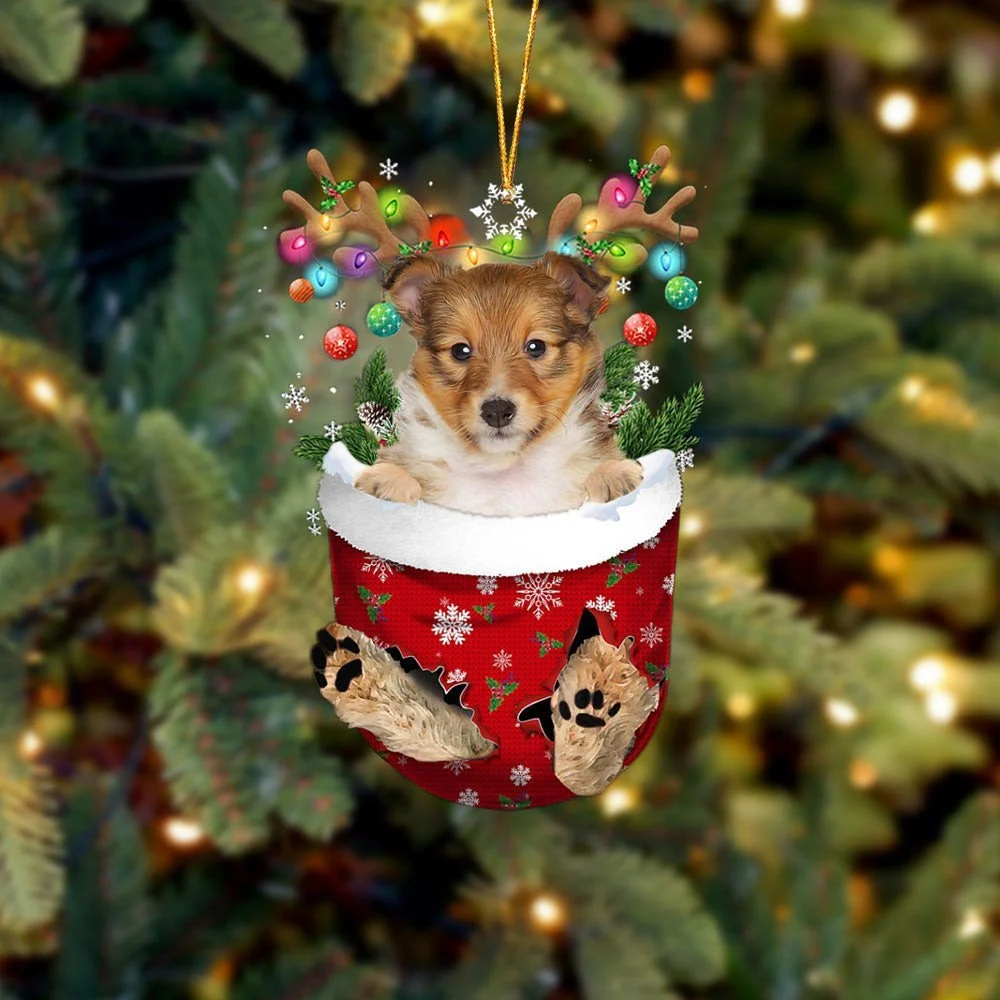 Shetland Sheepdog 2 In Snow Pocket Ornament
