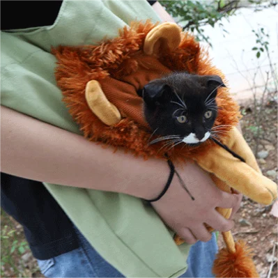 🔥2026 New Arrival🔥Pet Bag Backpack