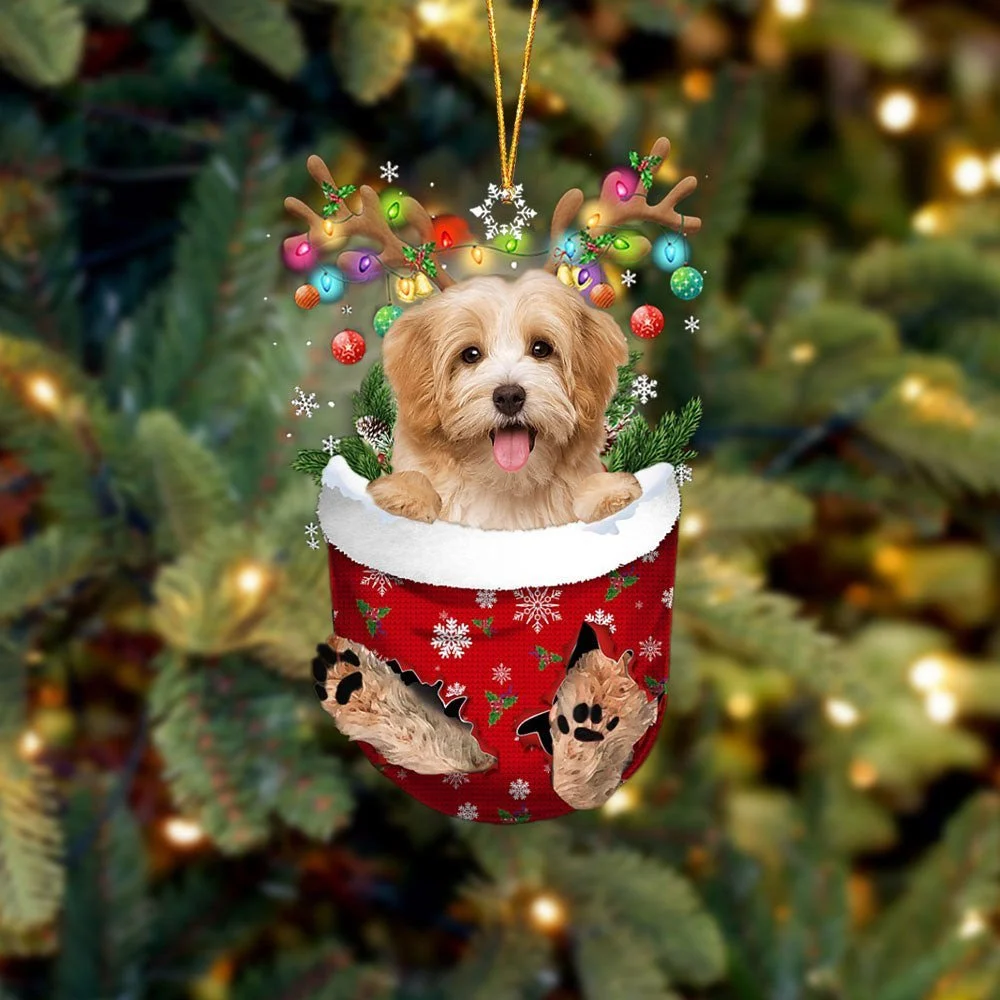 Havanese 3 In Snow Pocket Ornament