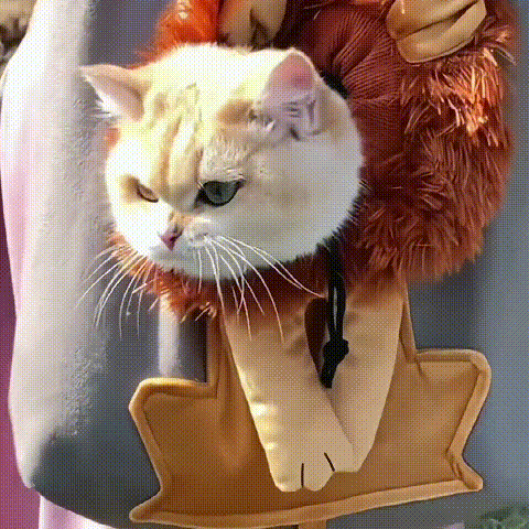 🔥2026 New Arrival🔥Pet Bag Backpack