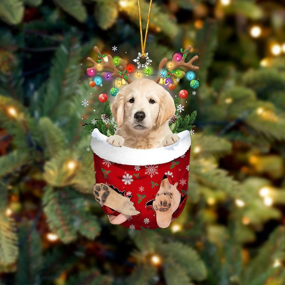 Golden Retriever In Snow Pocket Ornament