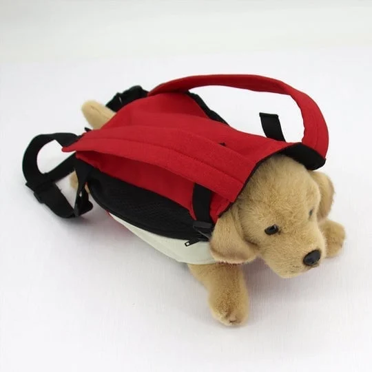 Pet Travel Leg-out Backpack🐶