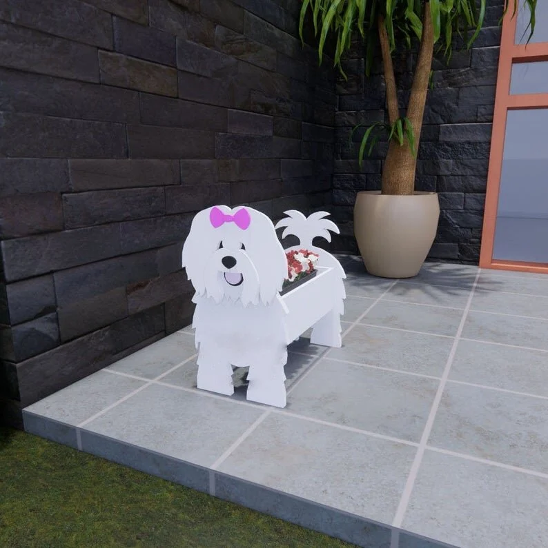 Tulear Coton Pet Planter
