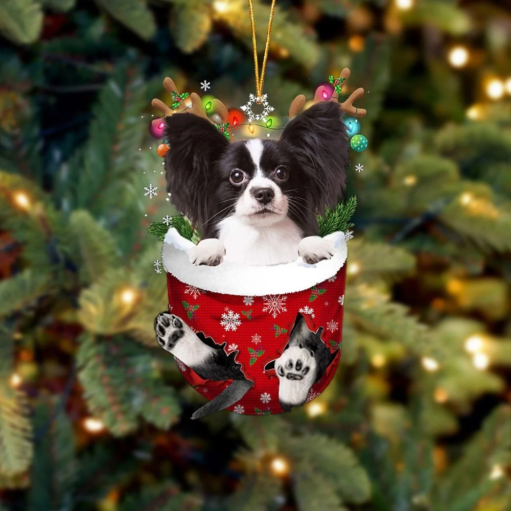 Papillon 3 In Snow Pocket Ornament