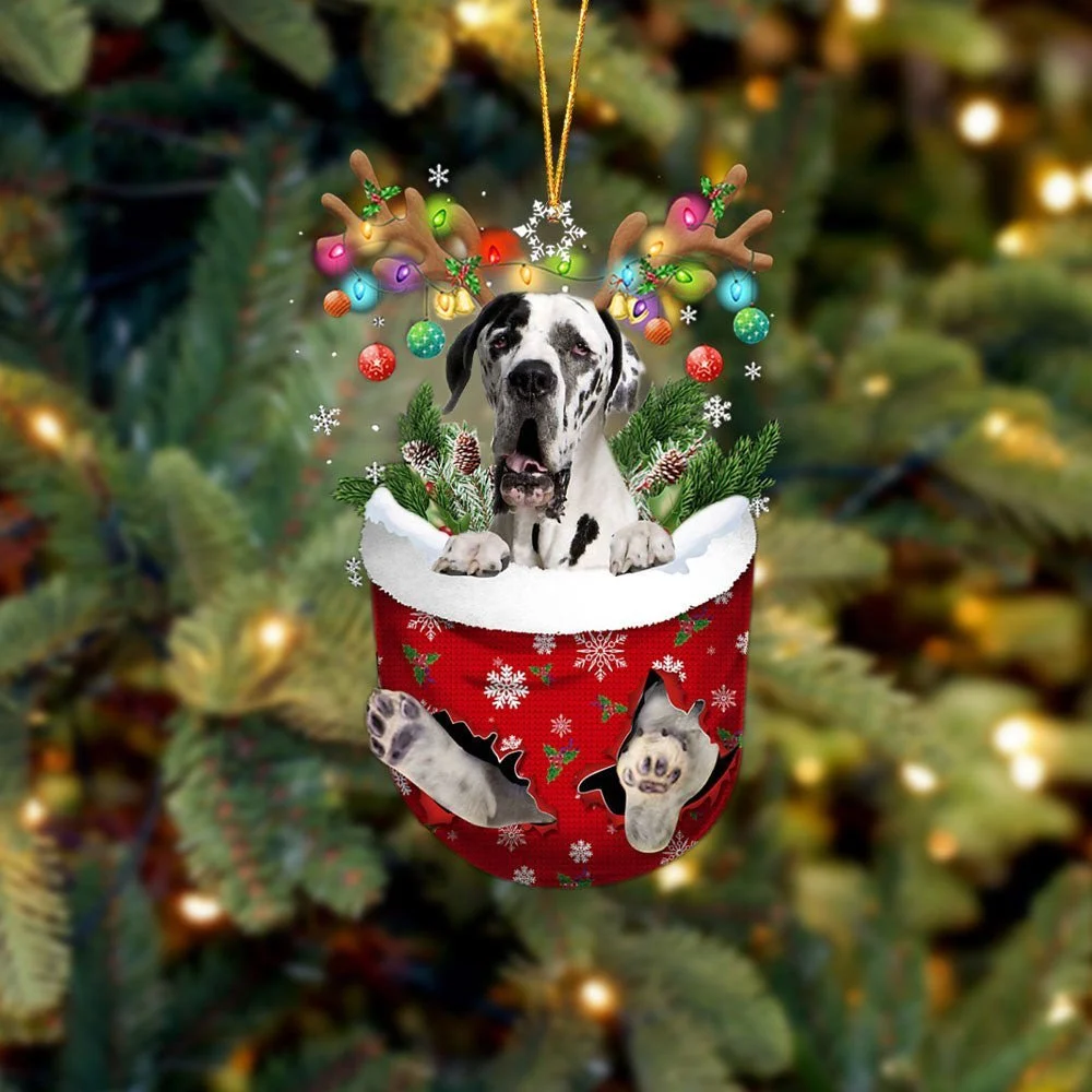 Great Dane 2 In Snow Pocket Ornament