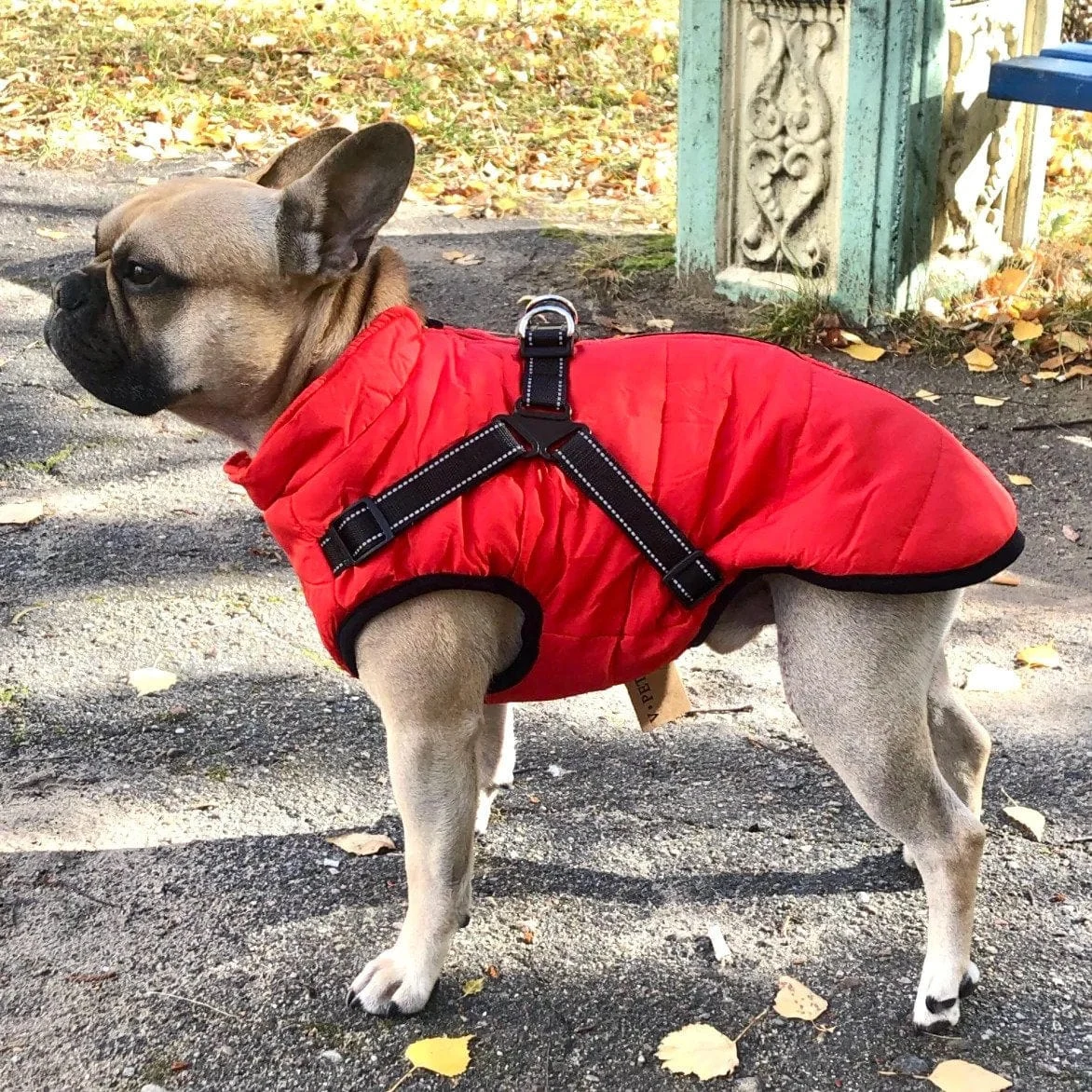 Winter Hot Sale 49% OFF - Puppy Puffer Insulated Jacket for Dogs of All Sizes