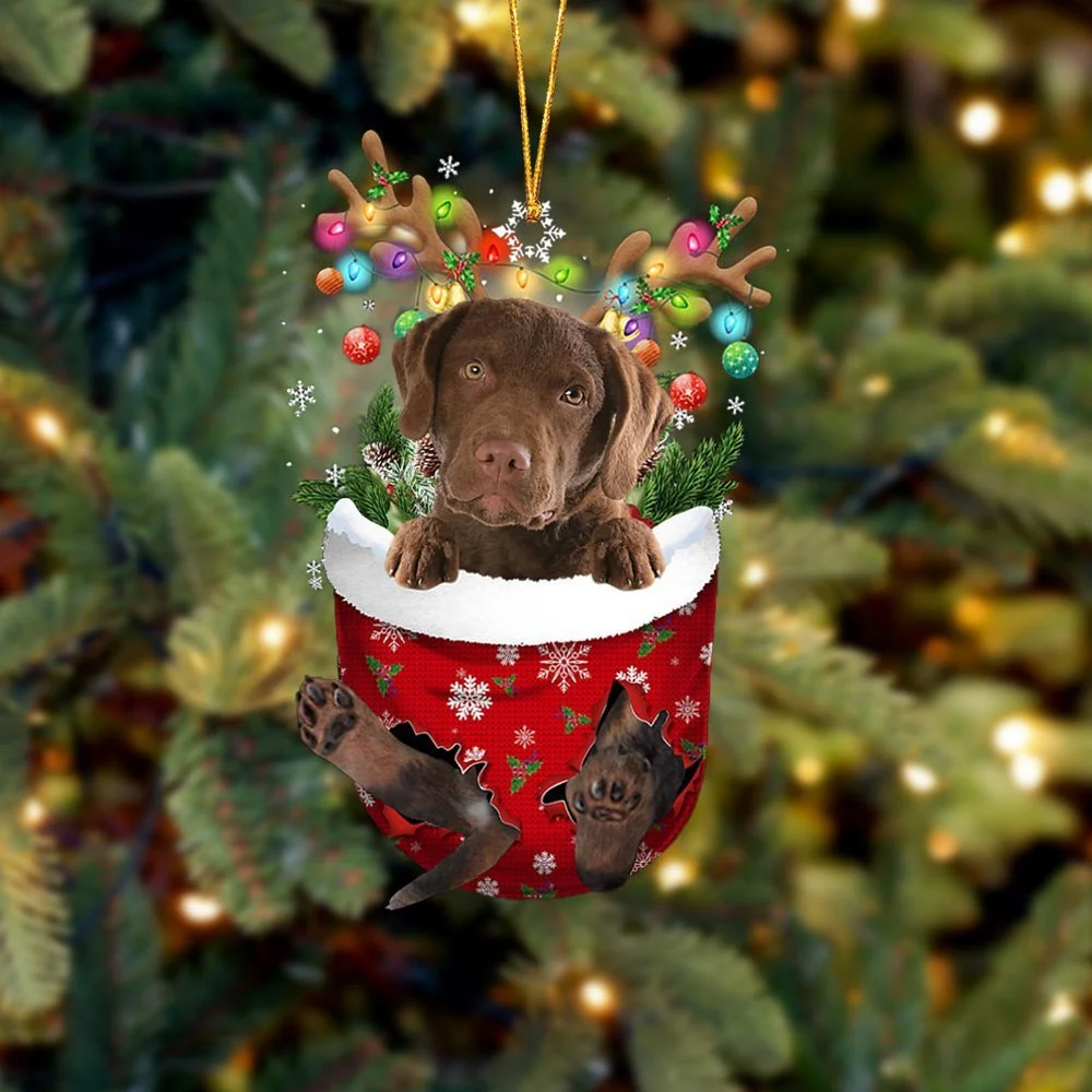 Chesapeake Bay Retriever In Snow Pocket Ornament