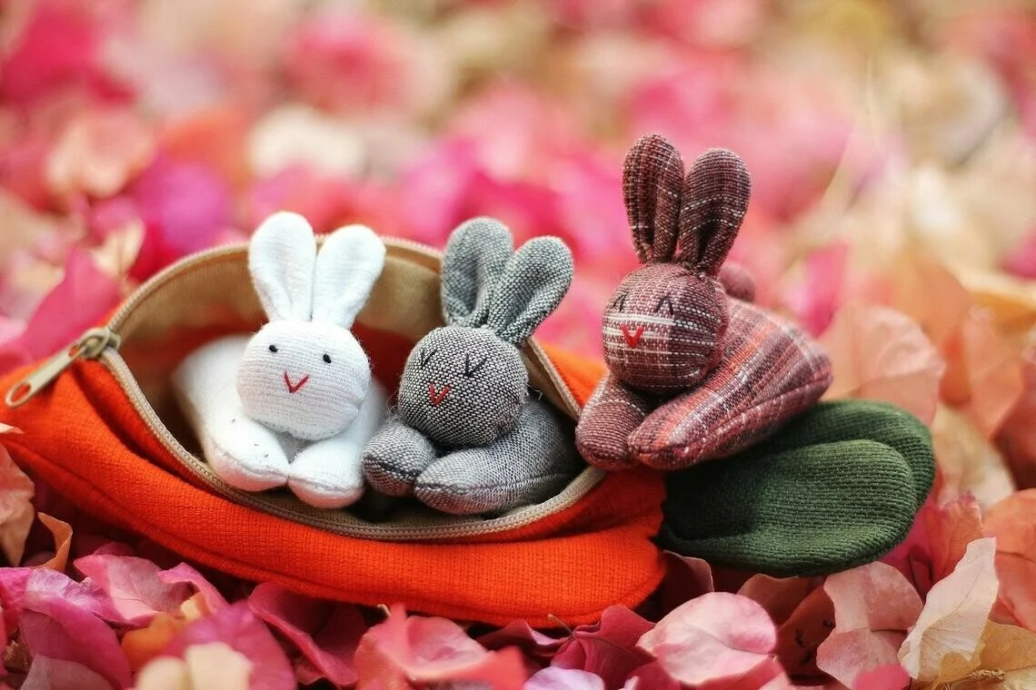3 bunnies in carrot purse