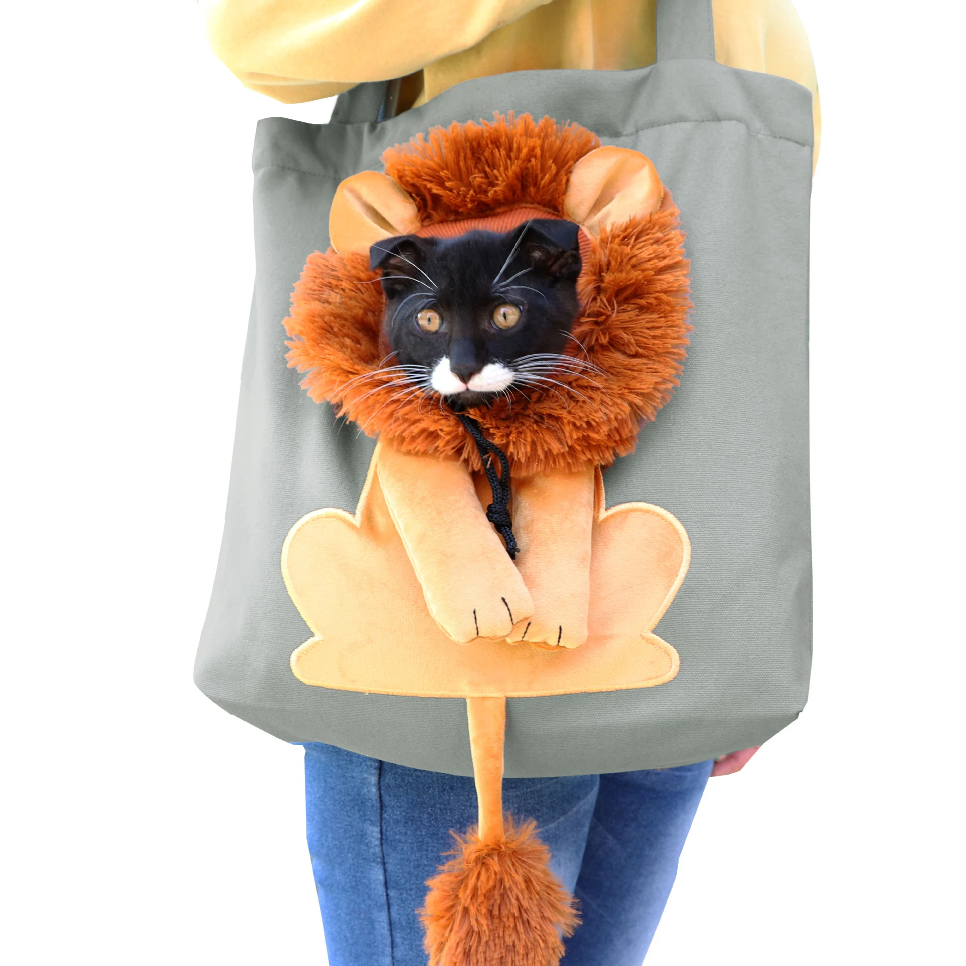 🔥2026 New Arrival🔥Pet Bag Backpack