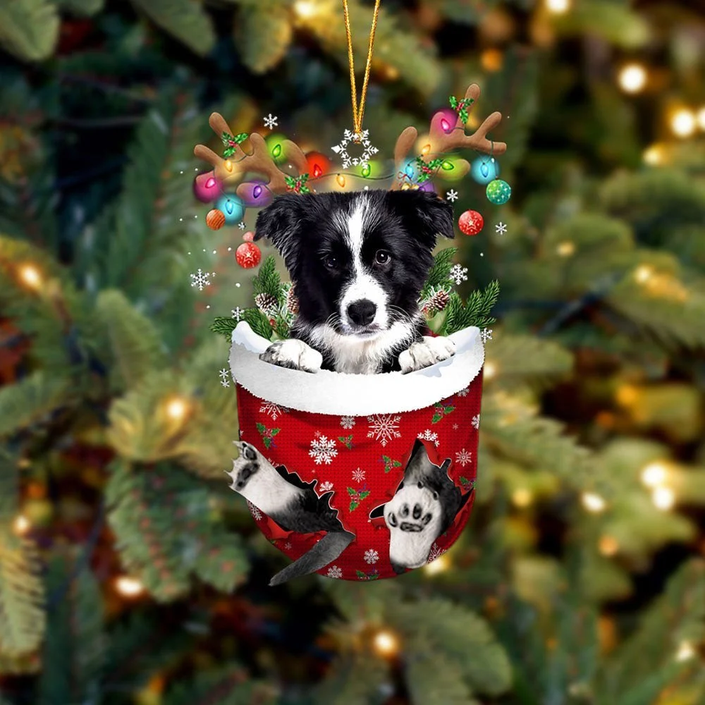Border Collie In Snow Pocket Ornament